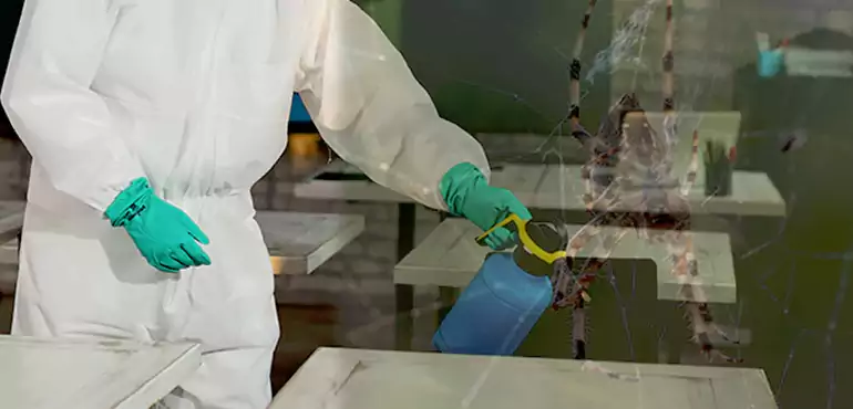 Why Buyers Still Want Homes With Pest Infestations in Brownsville, TX?