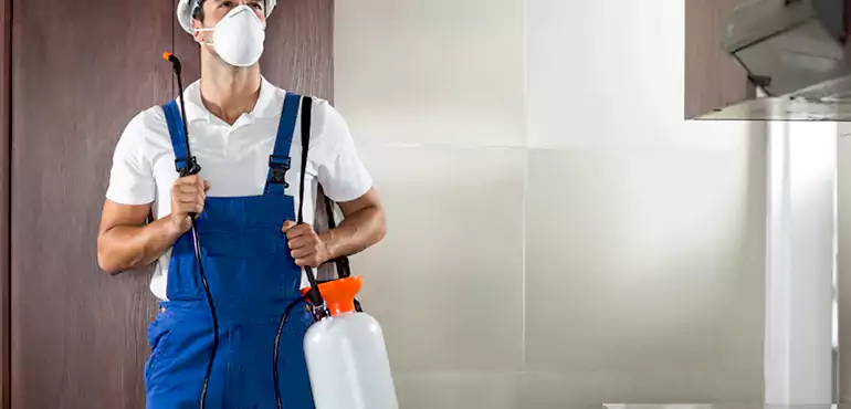 Why Brownsville Homeowners Choose Us When Pests Make Selling Difficult