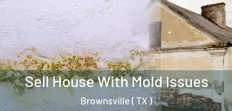 Sell House With Mold Issues Brownsville ( TX )